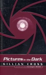 Pictures in the Dark book cover