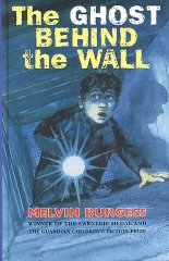 The Ghost Behind the Wall book cover